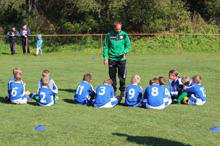 starsky sports直播-中国篮球教练员战术创新能力培养及培训机制研究，全国篮球教练员岗位培训